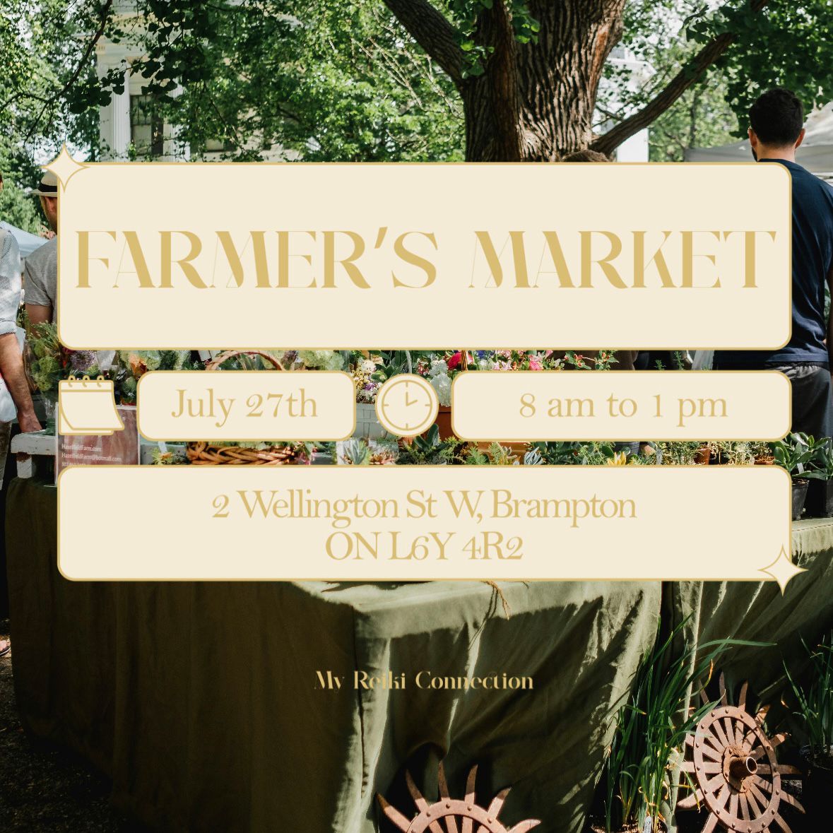 Reiki at Farmer's market