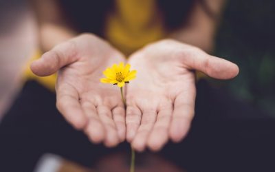 What Is Intentional Healing? How to Set Intentions Before a Reiki Session