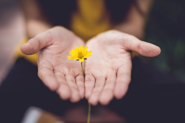 What Is Intentional Healing? How to Set Intentions Before a Reiki Session