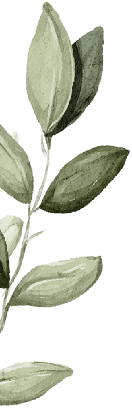 Marcella Riveros, Reiki Master in Guelph Ontario
