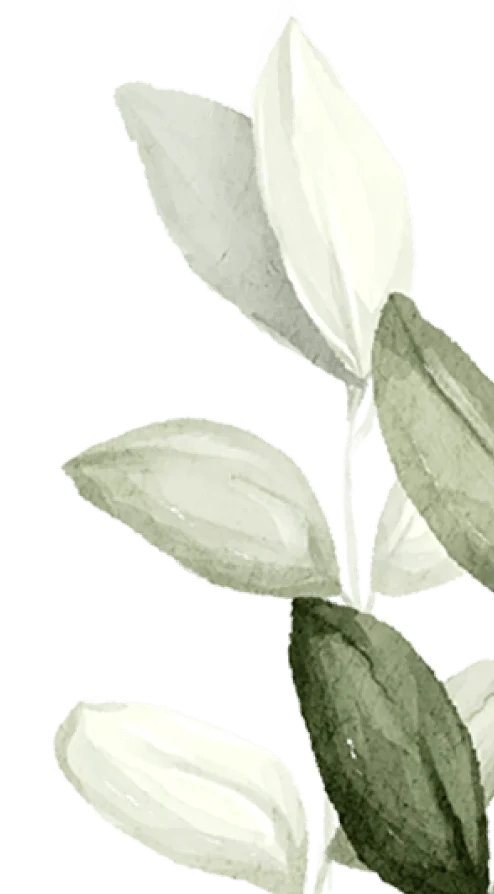 Reiki Master offering sessions in Guelph Ontario